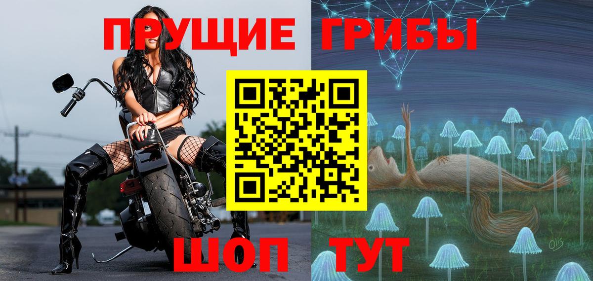 Унеча  Галлюциногенные грибы Cubensis  Вход с VPN 